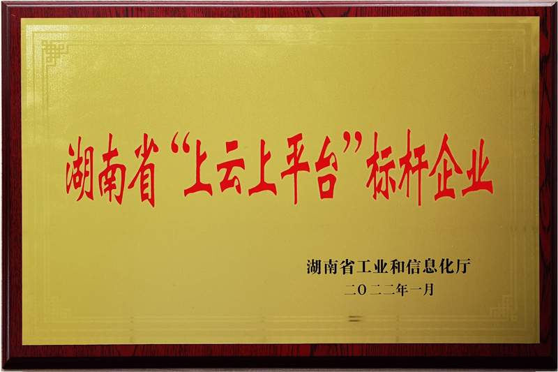 湖南省”上云上平台“标杆企业